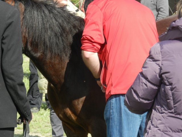 Rajd Mszana Górna 2015